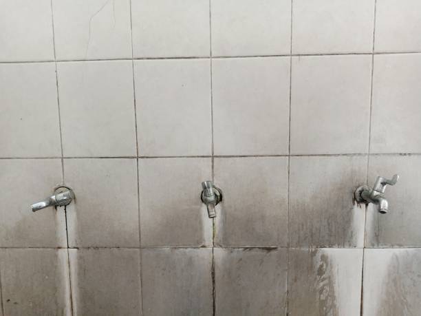 Best Carpet and Upholstery Water Damage Restoration in Malvern, IA