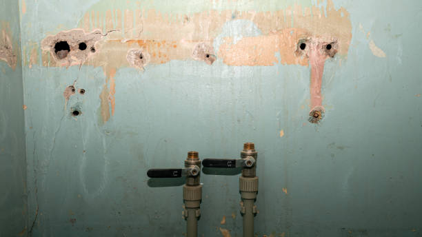 Trusted Water Damage Restoration in Malvern, IA | Fast, Reliable, and Ready to Assist You
