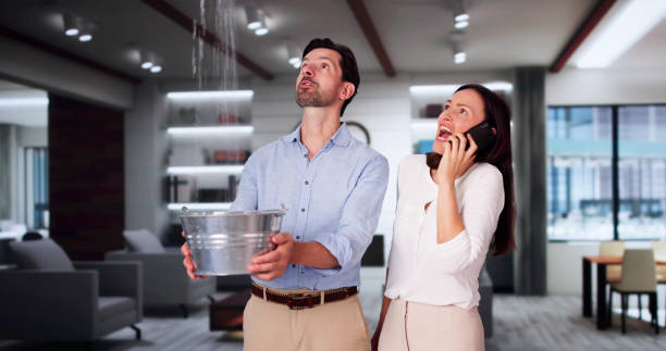 Best Commercial Water Damage Restoration in Malvern, IA